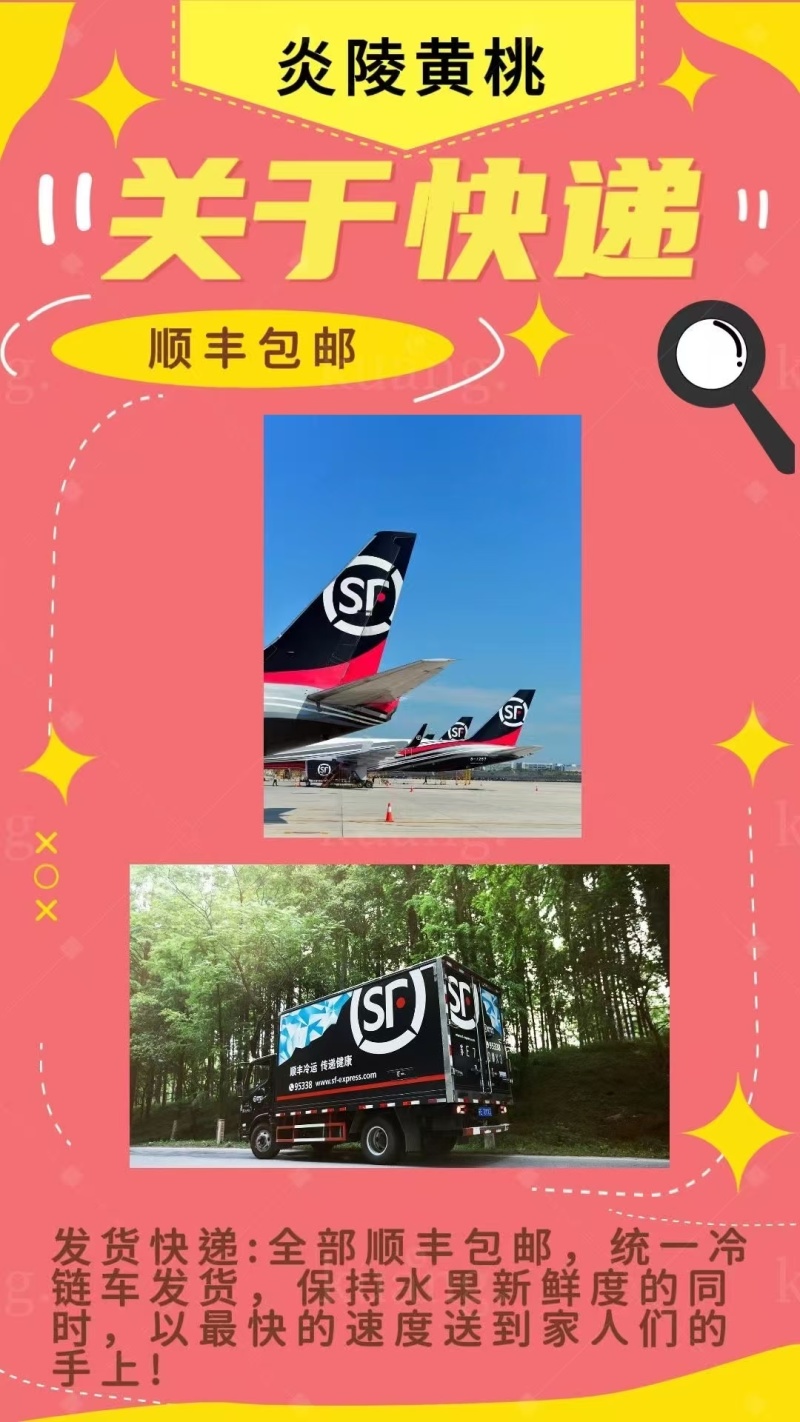 炎陵高山黄桃