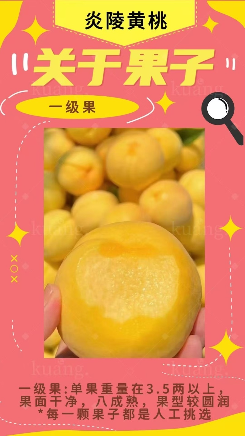 炎陵高山黄桃