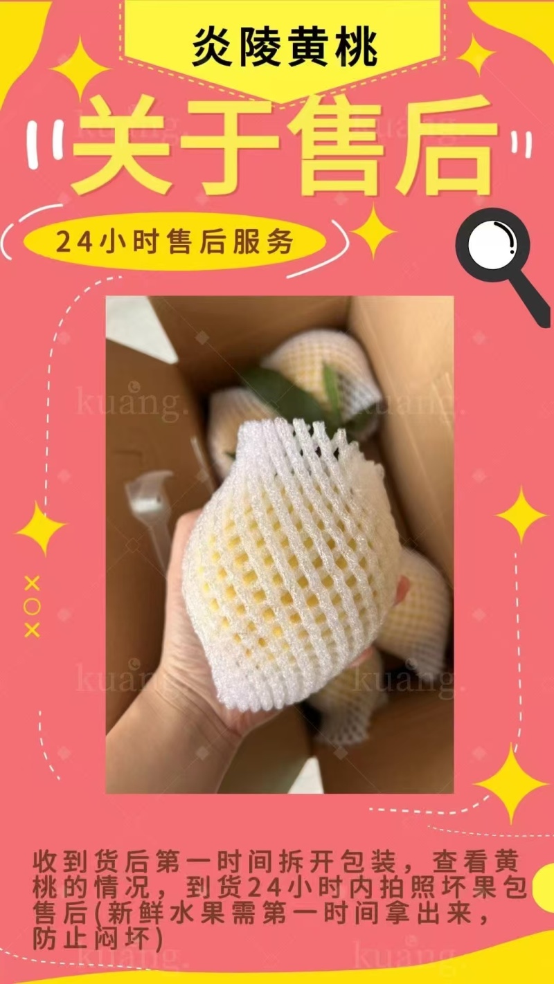 炎陵高山黄桃