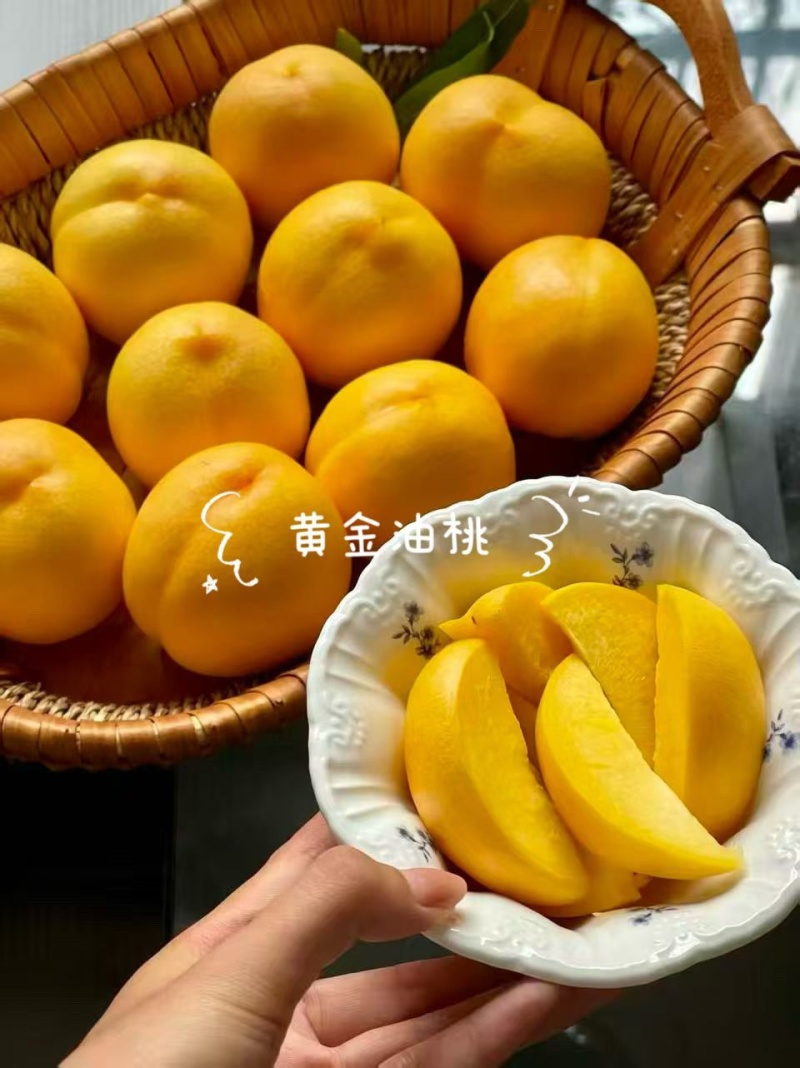 正宗蒙阴蜜桃