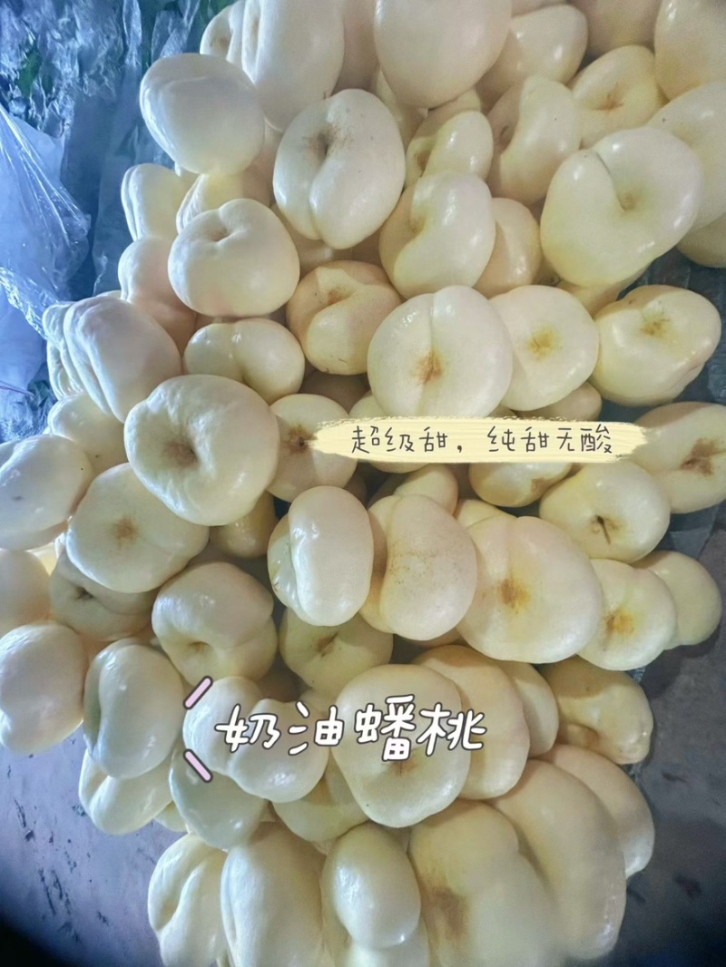 正宗蒙阴蜜桃