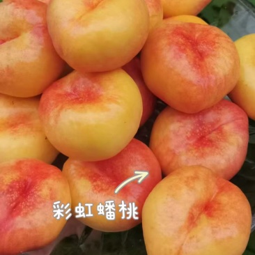 正宗蒙阴蜜桃