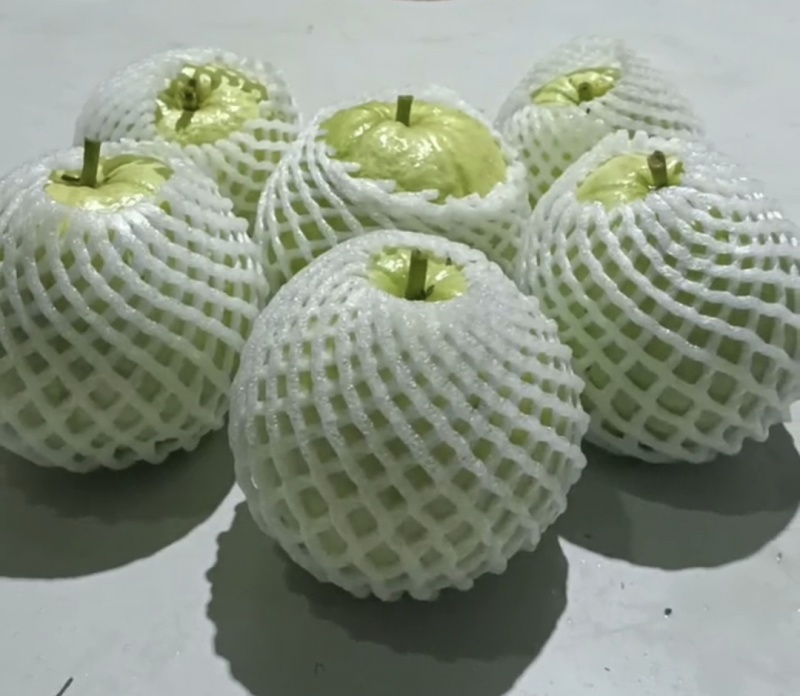 白心番石榴