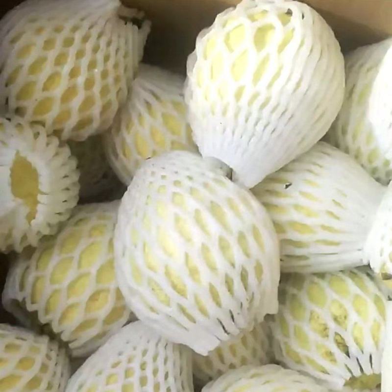 白心番石榴