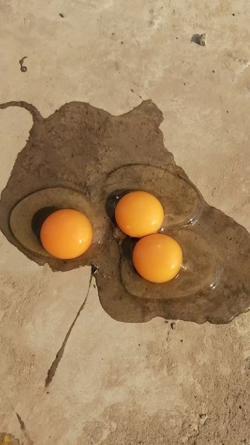 大量鸡蛋，批发更便宜