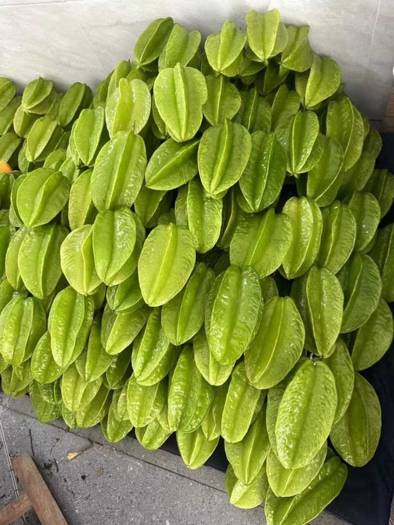 青杨桃