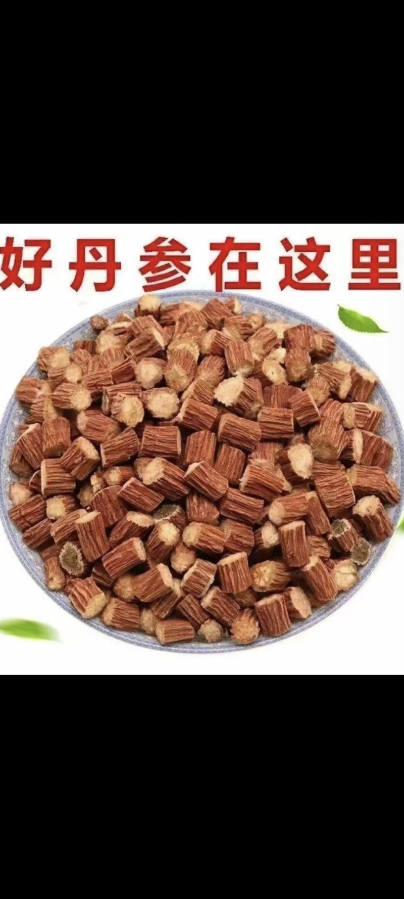 好丹参在这里