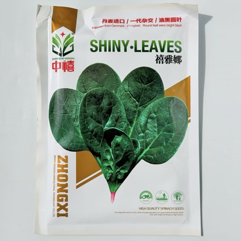 中禧禧雅娜菠菜种子
