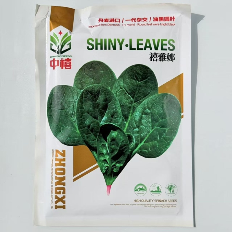 中禧禧雅娜菠菜种子