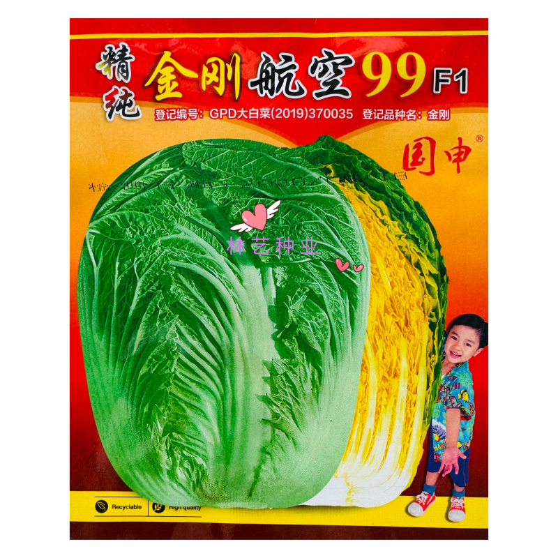 金刚航空99大白菜种子卷心紧绿叶黄心帮薄叶大秋季播