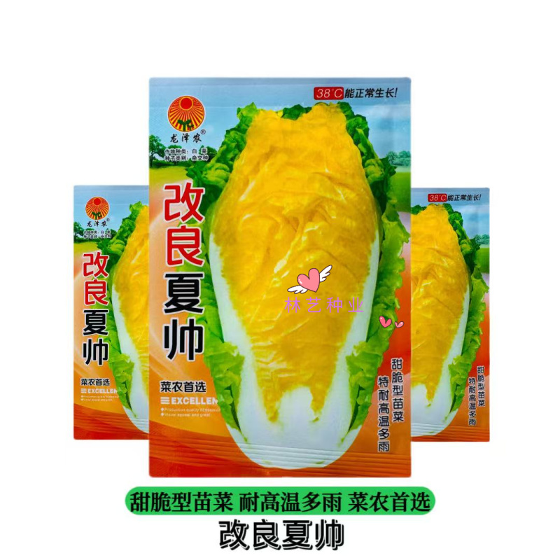 改良夏帅白菜种子农家庭院田园抗热抗病性强极早熟耐高温蔬菜