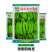 海之南四角豆种子多年生皇帝豆花叶果根都能吃四季菜耐热龙豆