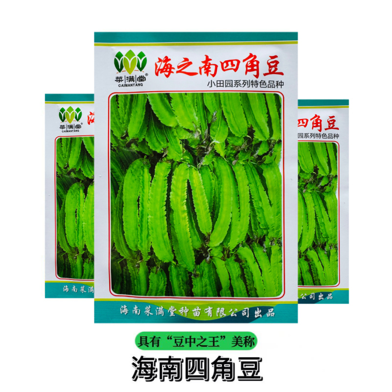 海之南四角豆种子多年生皇帝豆花叶果根都能吃四季菜耐热龙豆