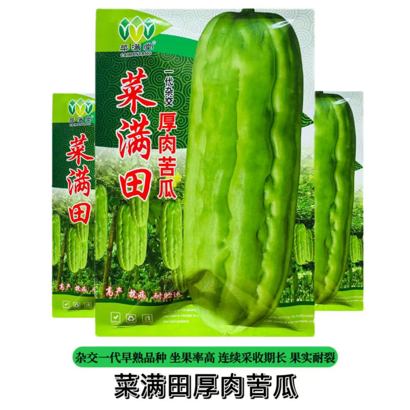 菜满田杂交中熟厚肉苦瓜种子颜色油绿略白有光泽瓜实