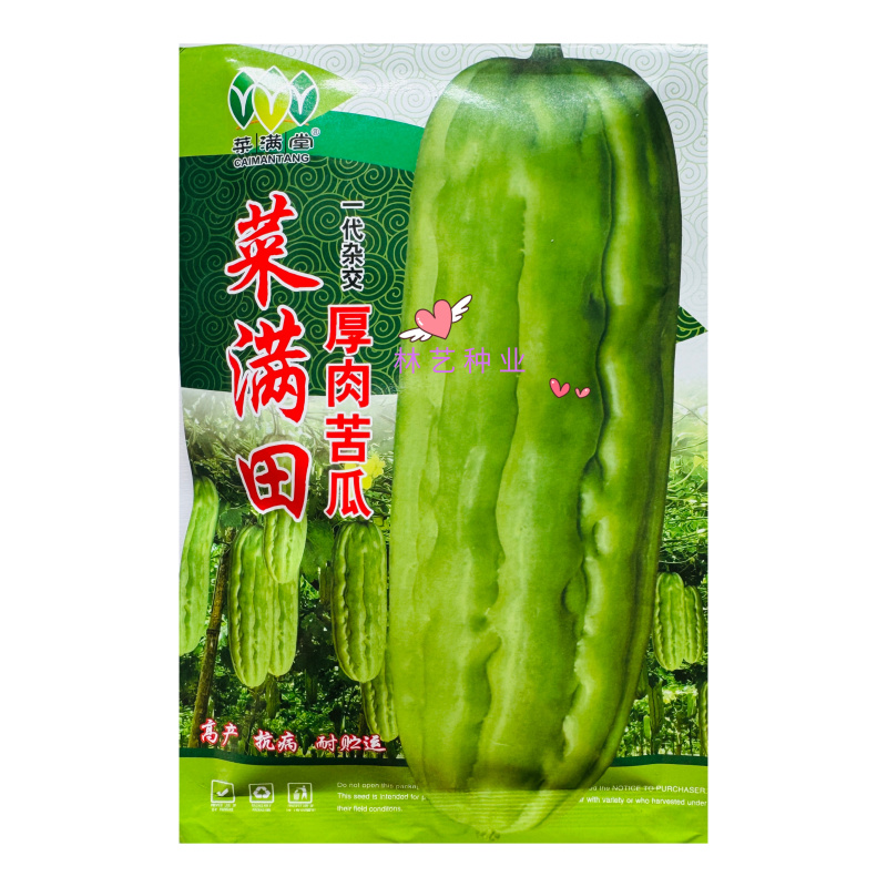 菜满田杂交中熟厚肉苦瓜种子颜色油绿略白有光泽瓜实