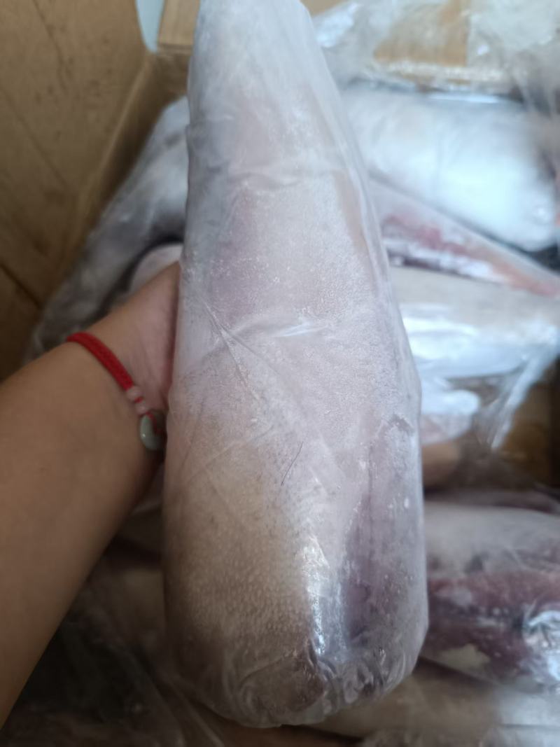 牛舌
