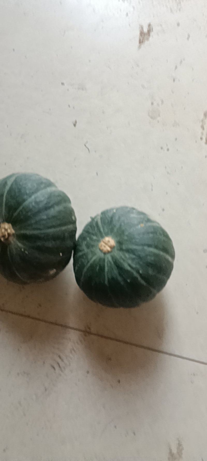 贝贝南瓜