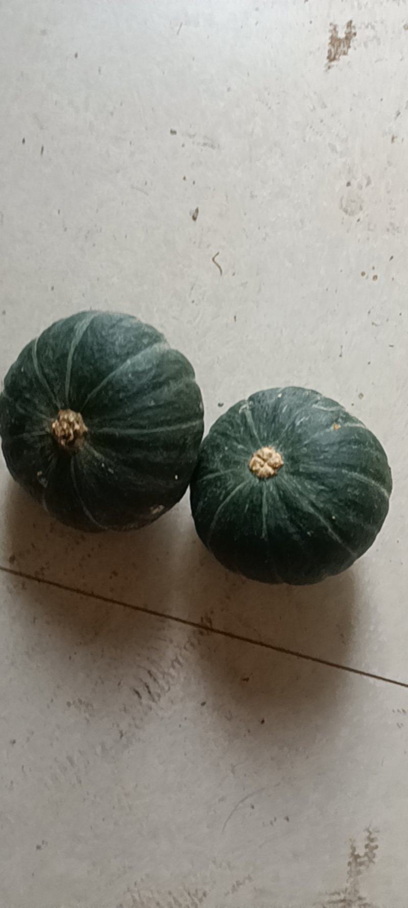 贝贝南瓜