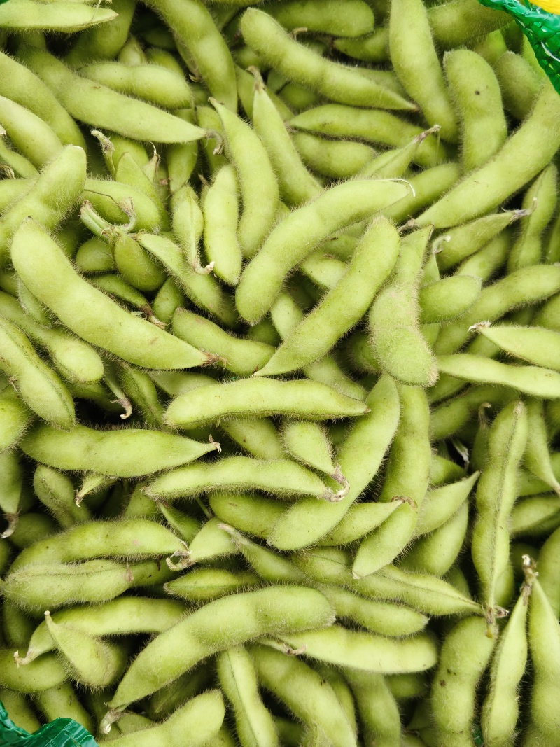毛豆