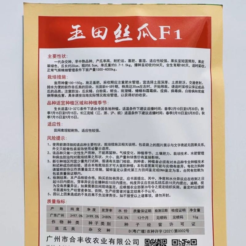 正源玉田短棒大肉丝瓜种子特大肉丝瓜杂交种子春秋播种高产抗