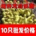 大种三花白鹅苗全国包邮包活到家疫苗齐全