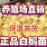 精品脱温大三花鹅苗全国包邮包活到家