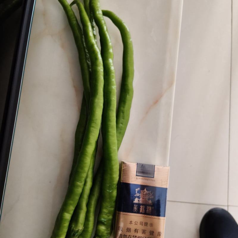 线椒