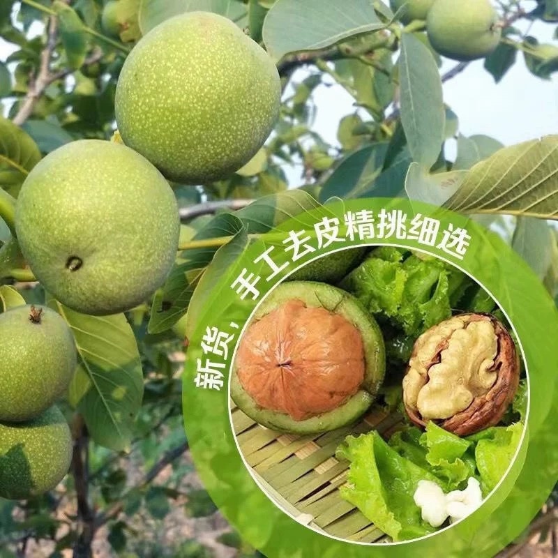 青皮去青皮鲜核桃支持一件代发