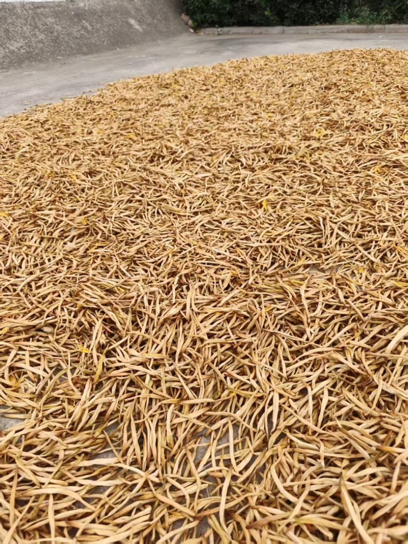 陕西本地干货黄花菜/产地直发货源充足量大价优