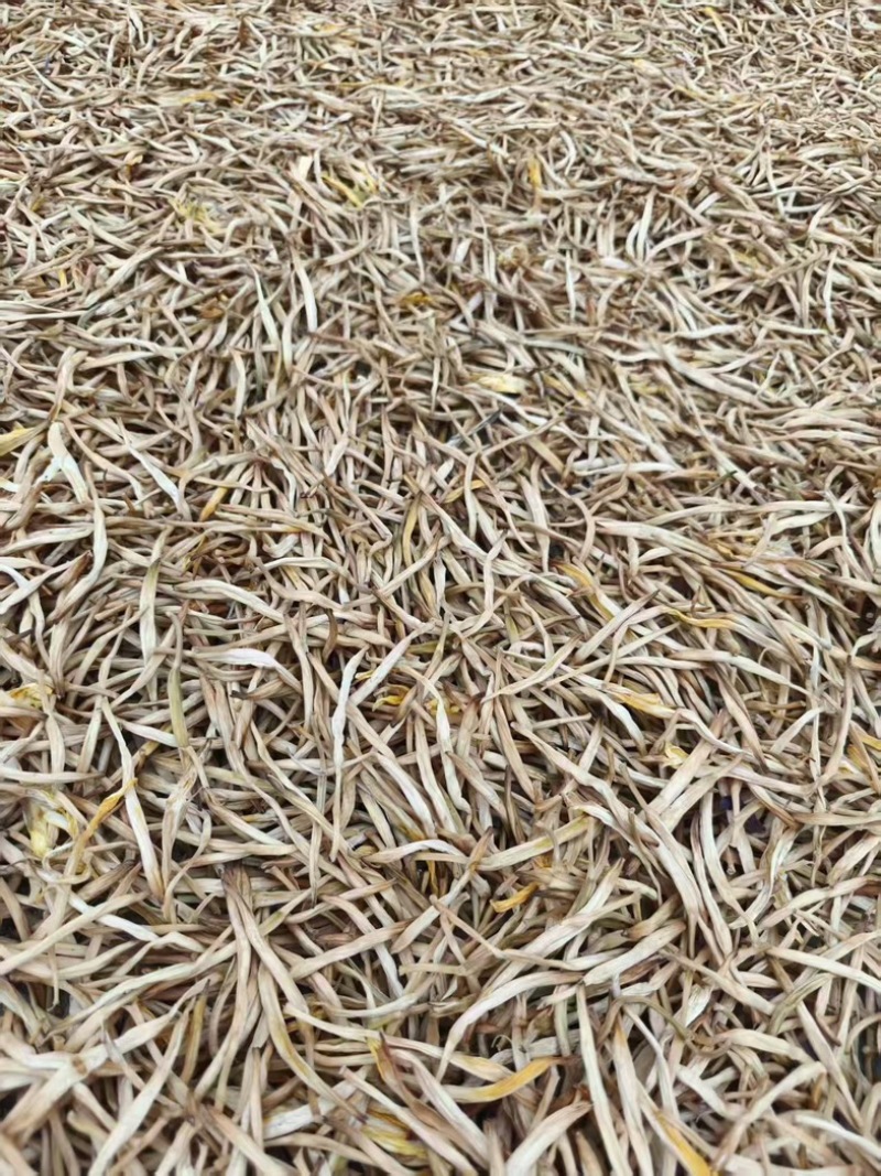 陕西本地干货黄花菜/产地直发货源充足量大价优