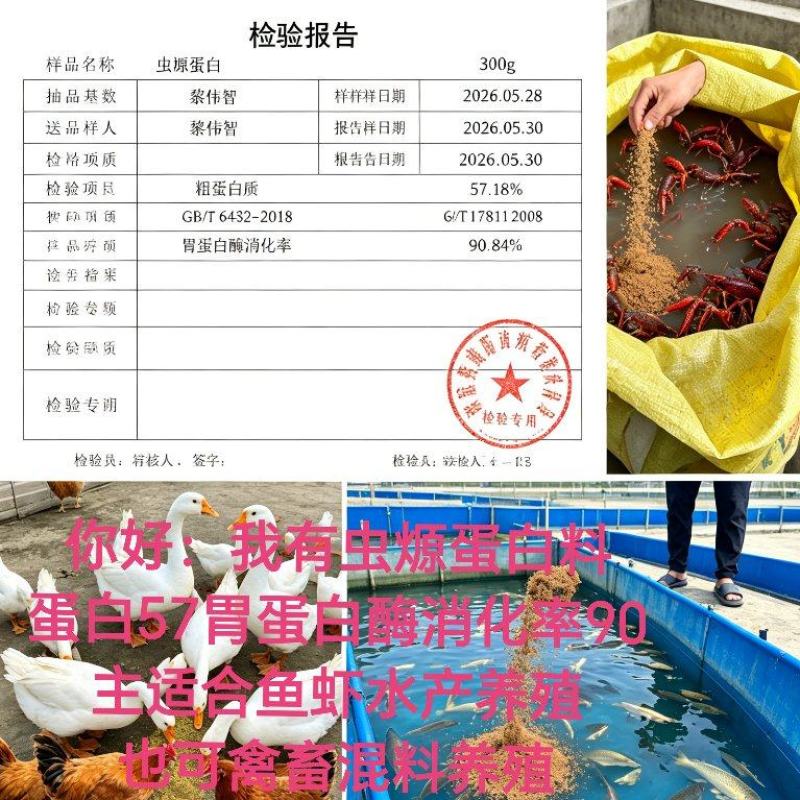 虫㷧蛋白适合鱼虾蟹混料，蛋白57可吸收率90可代鱼粉