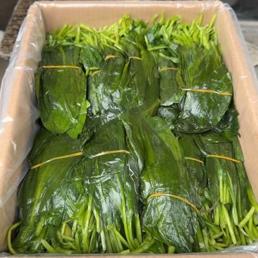 山葱叶大量出口有需要的联系我
