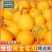 民勤蜜瓜，对接电商，多多仓，团购，市场，商超，质量高，，