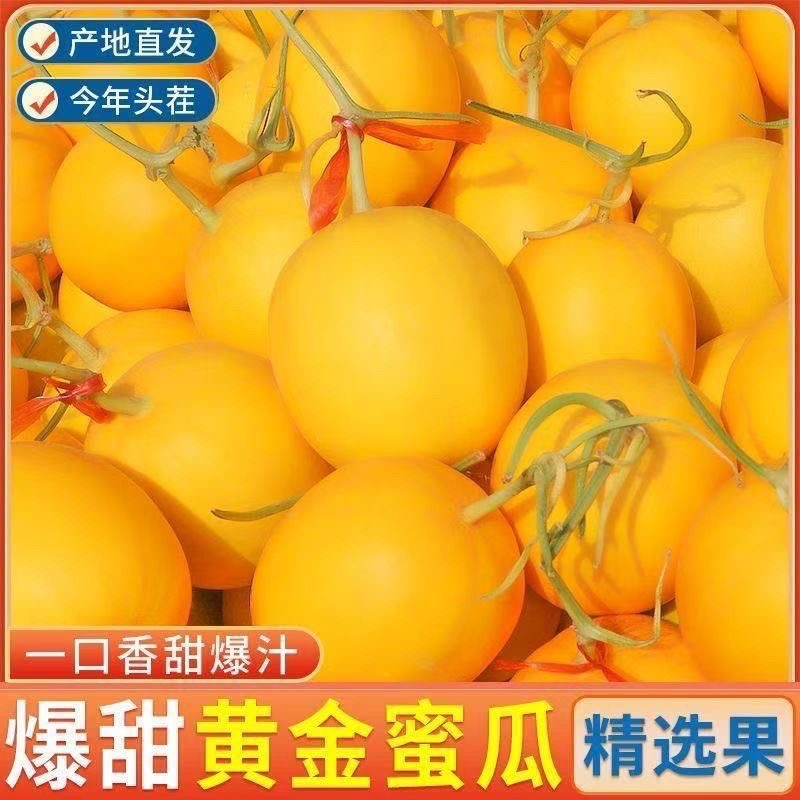 民勤蜜瓜，对接电商，多多仓，团购，市场，商超，质量高，，