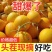 民勤蜜瓜，对接电商，多多仓，团购，市场，商超，质量高，，