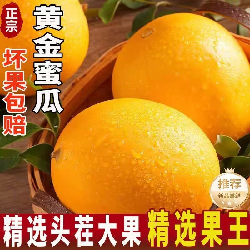 民勤蜜瓜，对接电商，多多仓，团购，市场，商超，质量高，，
