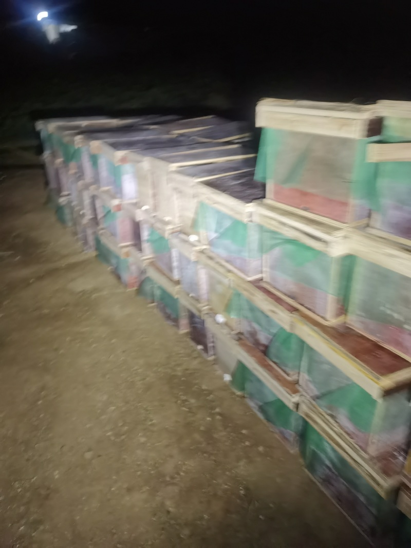 蜜蜂中华蜜蜂。两脾带箱全套120。三脾带箱全套180。