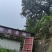 【新鲜】浙江精品东魁杨梅现摘现发社区团购承接电商对接全国