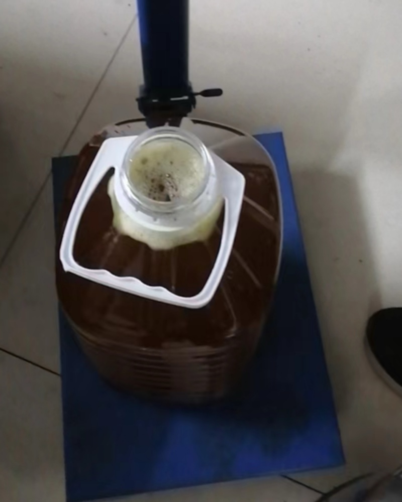 湖南耒阳山茶油