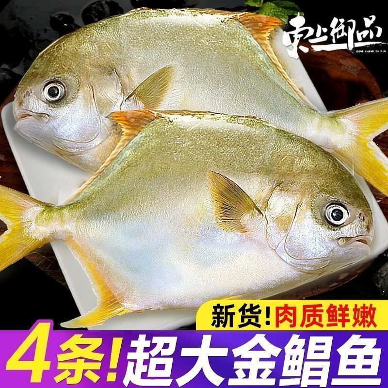 冰鲜锁鲜金鲳鱼正宗特大新鲜少刺无冰衣海鱼深海养殖2-4条一斤