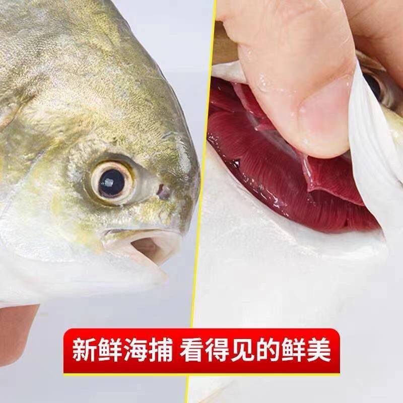 冰鲜锁鲜金鲳鱼正宗特大新鲜少刺无冰衣海鱼深海养殖2-4条一斤