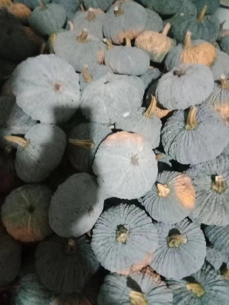 赖子南瓜灰皮南瓜