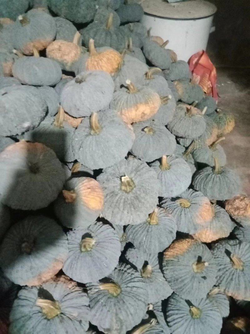 赖子南瓜灰皮南瓜