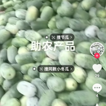 水果冬瓜