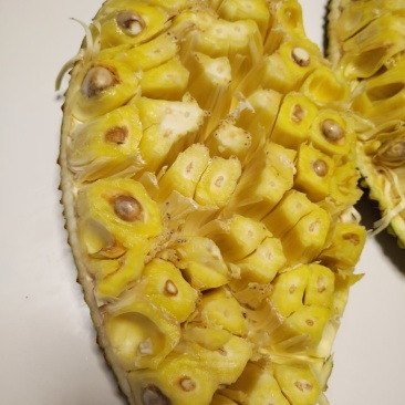波菠萝蜜