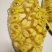 波菠萝蜜