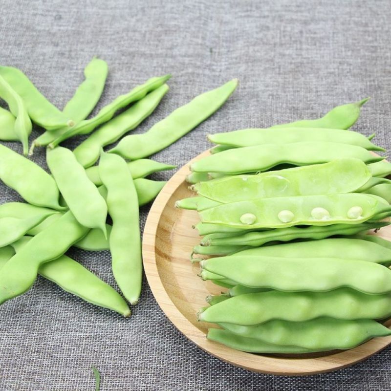 吉林豆角/豆角/东北油豆角/品质保证/欢迎采购/