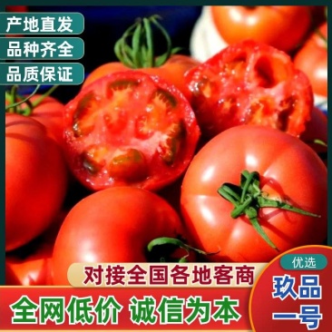 玖品一号番茄：从泰安到全国的口感新宠