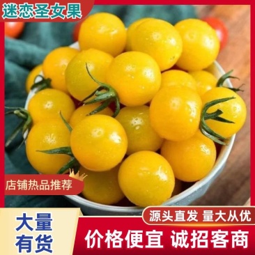 迷恋圣女果基地直供可全国发货欢迎来电