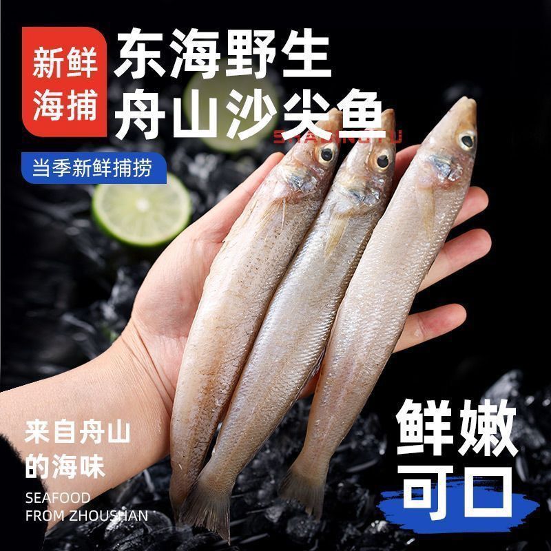 深海野生沙丁鱼海捕野生沙尖鱼沙追鱼新鲜冰鲜批发正宗海鱼锁鲜